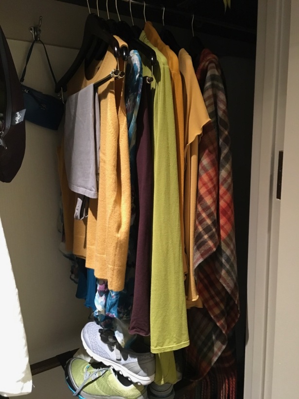 SF wardrobe in closet - 1