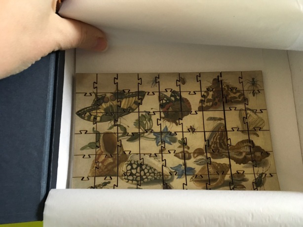 Jigsaw puzzle wood Artifact shells inside box - 1