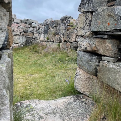 Stone ruins at Hvalsey; go inside - 2